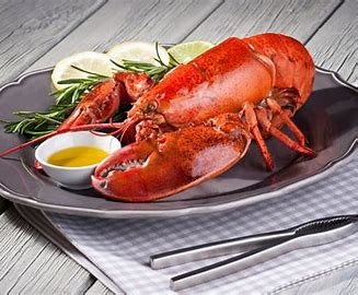Lobster